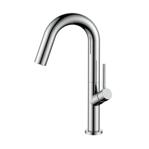 Chrom Edelstahl Einer Loch Küchenstange Wasserhahn